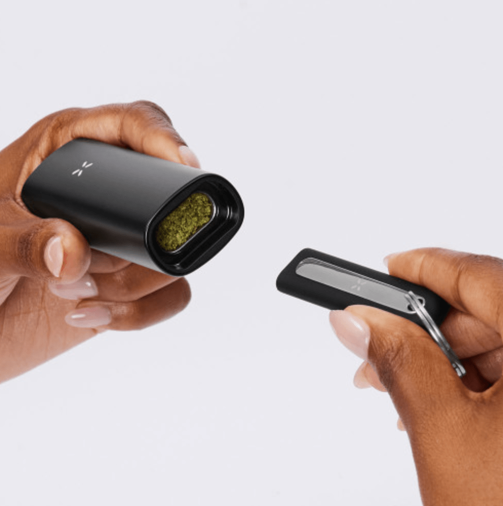 パックス プラス ヴェポライザー – The VapeLife Store